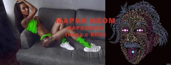 PSILOCYBIN Алзамай