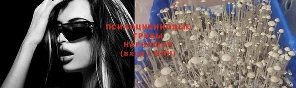 спиды Алексин