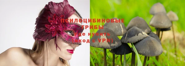 PSILOCYBIN Алзамай