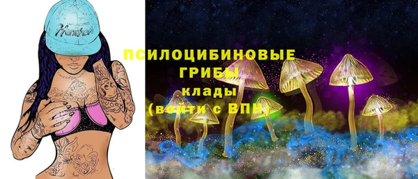 PSILOCYBIN Алзамай