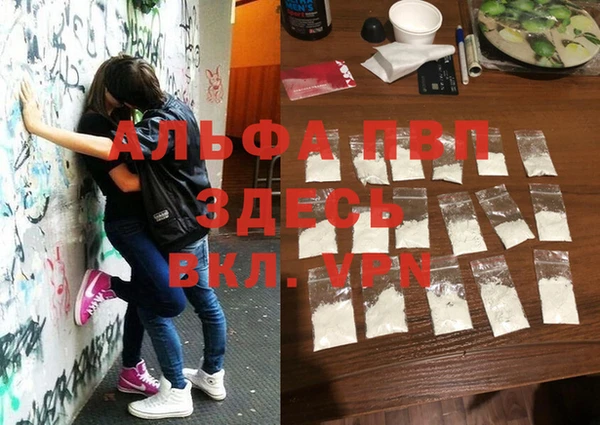 PSILOCYBIN Алзамай