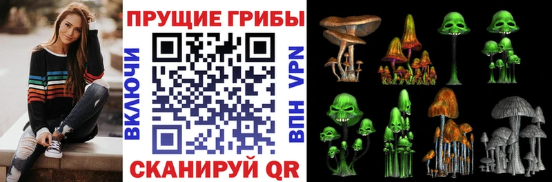 Псилоцибиновые грибы Magic Shrooms  нарко площадка клад  Нелидово 